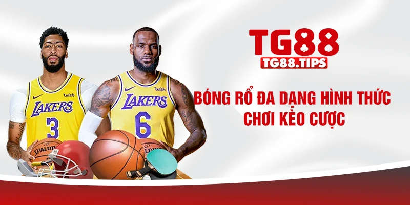Bóng rổ đa dạng hình thức chơi kèo cược Bóng rổ đa dạng hình thức chơi kèo cược