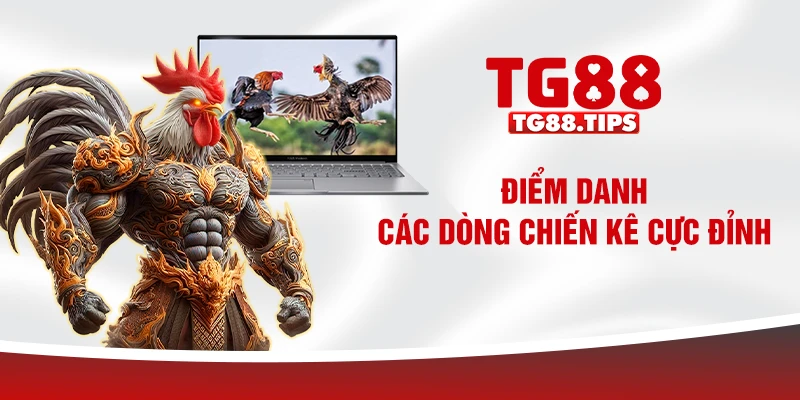 Điểm danh các dòng chiến kê cực đỉnh Điểm danh các dòng chiến kê cực đỉnh