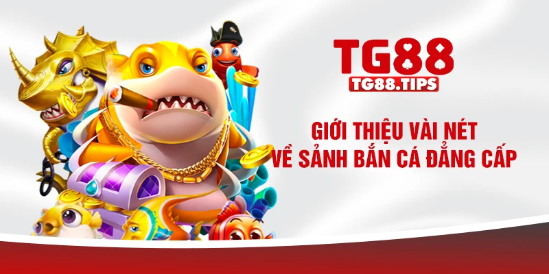 Giới thiệu vài nét về sảnh bắn cá đẳng cấp Giới thiệu vài nét về sảnh bắn cá đẳng cấp