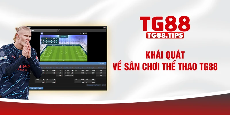 Khái quát về sân chơi thể thao TG88 Khái quát về sân chơi thể thao TG88