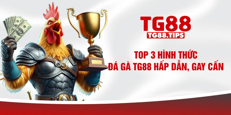 Top 3 hình thức đá gà TG88 hấp dẫn, gay cấn Top 3 hình thức đá gà TG88 hấp dẫn, gay cấn