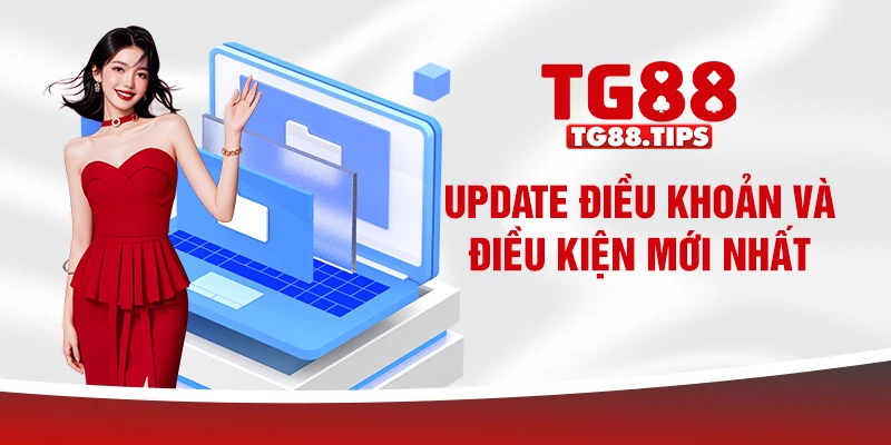 Update điều khoản và điều kiện mới nhất