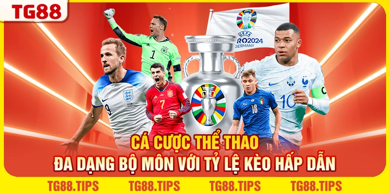 Cá Cược Thể Thao - Đa Dạng Bộ Môn Với Tỷ Lệ Kèo Hấp Dẫn