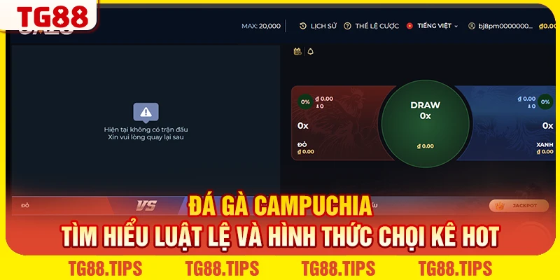 Đá Gà Campuchia - Tìm Hiểu Luật Lệ Và Hình Thức Chọi Kê Hot